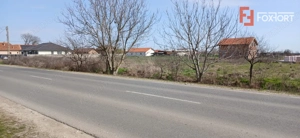 Parcela de teren de 798 mp pentru casa in Peciu Nou - imagine 4