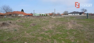 Parcela de teren de 798 mp pentru casa in Peciu Nou - imagine 6