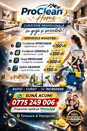 Curățenie cu Bun Simț - Afacere de Familie Timisoara si metropolitan