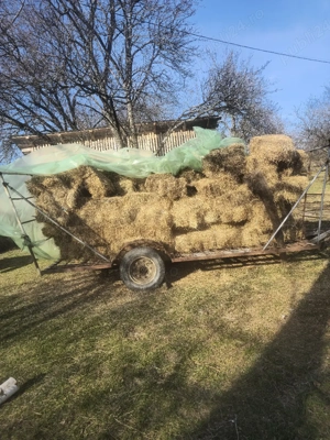 Vând baloți pătrați  - imagine 2