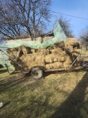 Vând baloți pătrați 