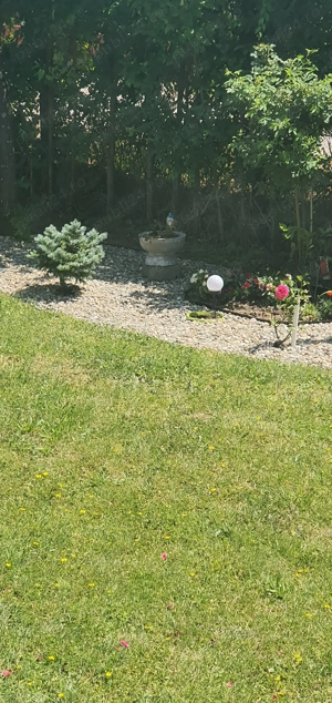 Oferta Casa noua premium  - imagine 7