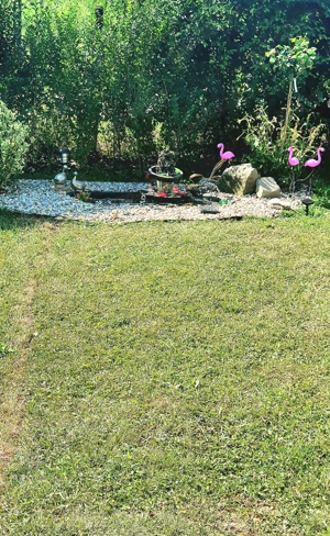 Oferta Casa noua premium  - imagine 6