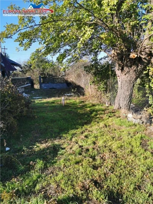 Teren de vanzare in Nifon Tulcea - imagine 3