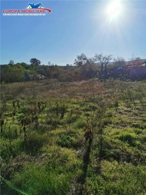 Teren de vanzare in Nifon Tulcea - imagine 5