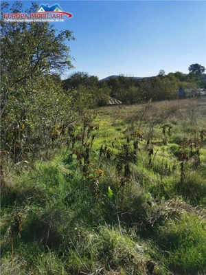 Teren de vanzare in Nifon Tulcea - imagine 2