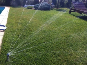 intretinere gazon tuns iarba sisteme de irigatii gradinar spatii verzi amenajari curti gard viu  pom - imagine 3