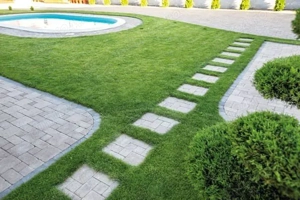 intretinere gazon tuns iarba sisteme de irigatii gradinar spatii verzi amenajari curti gard viu  pom - imagine 2