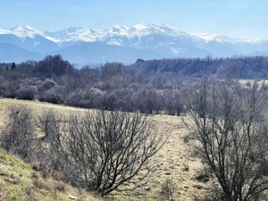 Teren de vanzare in zona turistica Valea Avrigului, judetul Sibiu 1700mp.