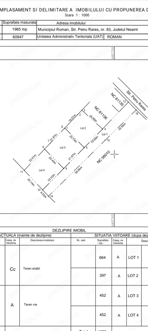 Tren de vanzare intravilan 470mp Roman