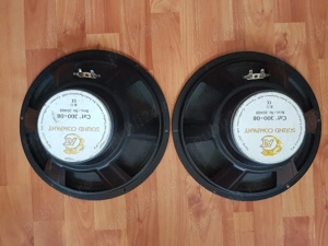 Difuzor , difuzoare bass 12"  , difuzoare joase Cat  Sound Company  12 " , 8 ohm , Germany   - imagine 2