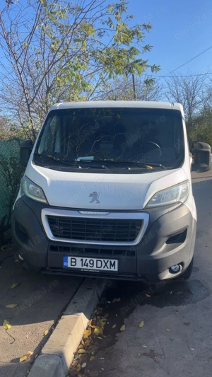 Vand duba 5000 eur - imagine 3