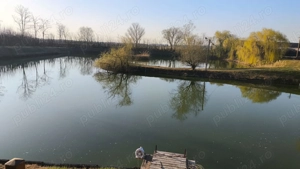 Proprietate de poveste in Sannicolau Mare - imagine 19