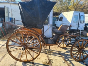 Trăsura cal - imagine 3