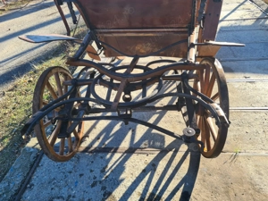 Trăsura cal - imagine 4