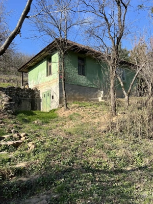 Vând casă cu teren și livadă în Seini, cu priveliște de poveste