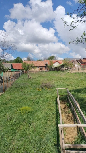 Vând casă și teren intravilan în comuna Târnova, jud.Caraș-Severin, suprafata utilă de 1032 mp. - imagine 4