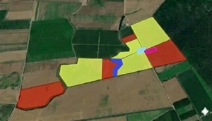 Livadă de nuc: Afacere agricolă cu potențial ridicat  - 74,9 ha irigate