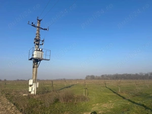 Livadă de nuc: Afacere agricolă cu potențial ridicat  - 74,9 ha irigate - imagine 8
