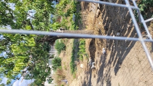 Vânt teren intravilan