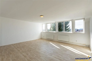 Birouri care iti duc afacerea la nivelul urmator!