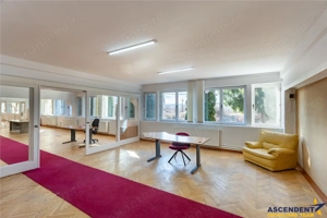 Spatii de birouri pentru afaceri care apreciaza profesionalismul - imagine 18