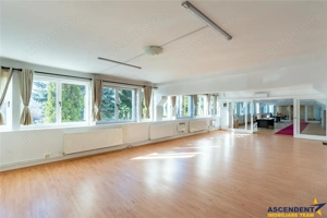 Spatii de birouri pentru afaceri care apreciaza profesionalismul