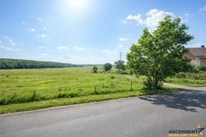 Teren intravilan, pe 5.800 mp, cu vedere frumoasa,in localitatea Reghin - imagine 3