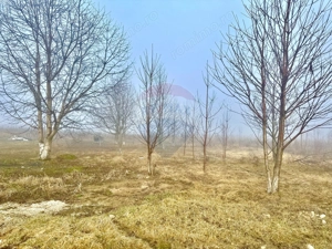 Teren 500mp Turturesti / Strada Principala - imagine 2