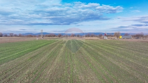 Teren 5,300mp Prejmer / DN11 Brașov-Covasna - imagine 9