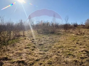 Casă traditionala+TEREN 6.000 mp - imagine 6