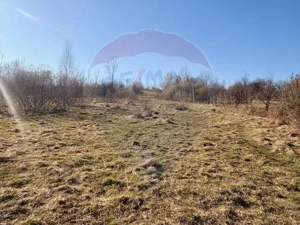 Casă traditionala+TEREN 6.000 mp - imagine 5