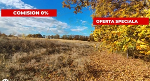 Teren Mosoaia 10200 mp intravilan 