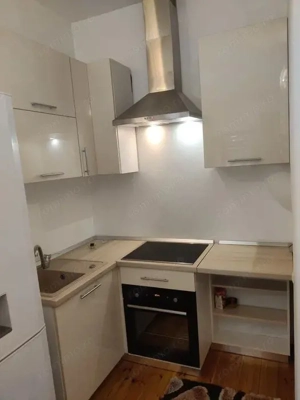 Ultracentral - Inchiriere apartament 1 camera - Str. Calarasilor - imagine 7