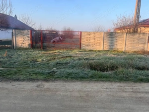 Teren intravilan Peciu Nou