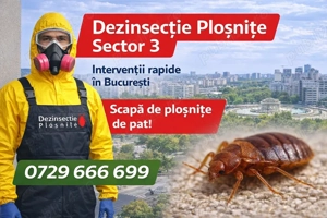 Dezinsectie plosnite sector 3 București 