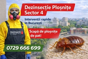 Eliminare plosnite Sector 4 Bucuresti | Dezinsectie profesionala rapida