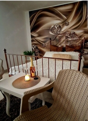 Regim hotelier garsoniera Craiova Cazare Craiova - imagine 3