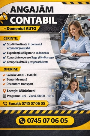 CONTABIL cu experienta- domeniul auto