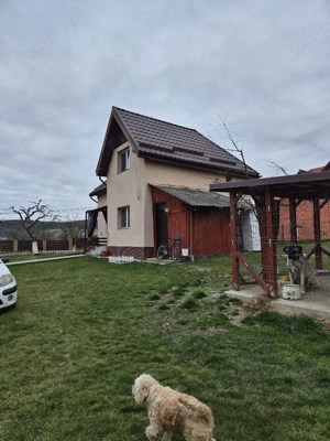PF Vand casa in Chinteni - imagine 3