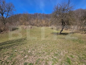 Casă cu teren generos 6.820 mp, lângă pădure și râu – Almașu Mare - imagine 9