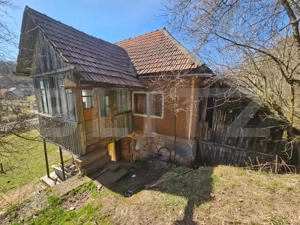 Casă cu teren generos 6.820 mp, lângă pădure și râu – Almașu Mare - imagine 4