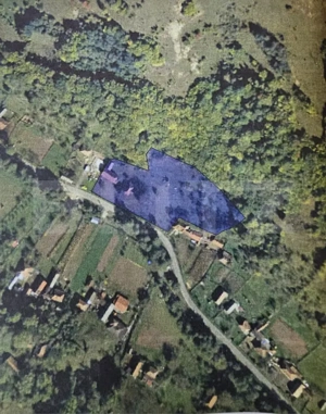 Casă cu teren generos 6.820 mp, lângă pădure și râu – Almașu Mare - imagine 11