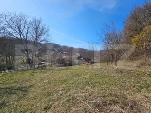 Casă cu teren generos 6.820 mp, lângă pădure și râu – Almașu Mare - imagine 6