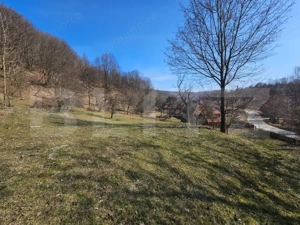 Casă cu teren generos 6.820 mp, lângă pădure și râu – Almașu Mare - imagine 7