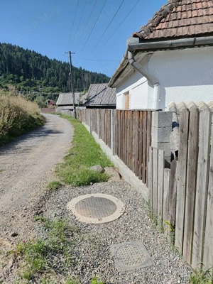 Casa batraneasca cu teren la munte, la râul Mureş - imagine 9