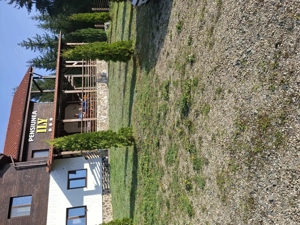 Pensiunea Ily Colibita  - imagine 2