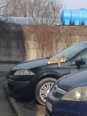 Renault megane 1.6 16v 2008 - imagine 3