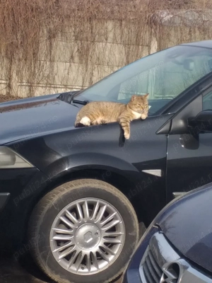 Renault megane 1.6 16v 2008 - imagine 4