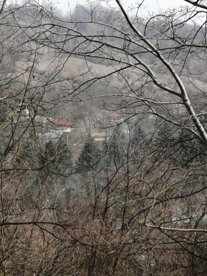 Teren Slănic Prahova   utilități la poartă, ideal casă de vacanță - imagine 2